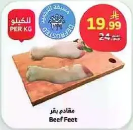 مقادم بقر