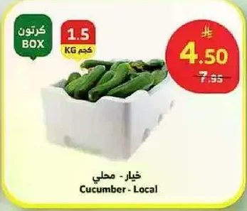 خيار - محلي
