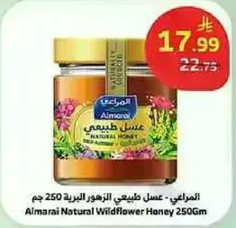 العسل الطبيعي الزهور البريه 250 جرام