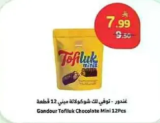 غندور - توفي لك شوكولاته ميني 12 قطعه