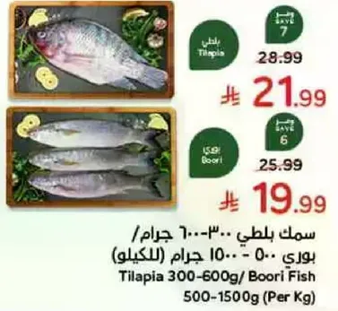 سمك بلطي 300-600 جرام / بوري 500-1500 جرام (لكل كيلو)