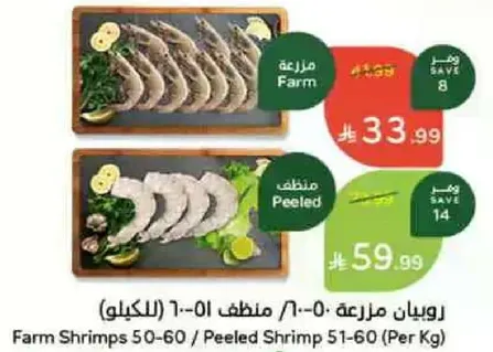 روبيان مزارعه 50-60 / منظم 51-60 (للكيلو)