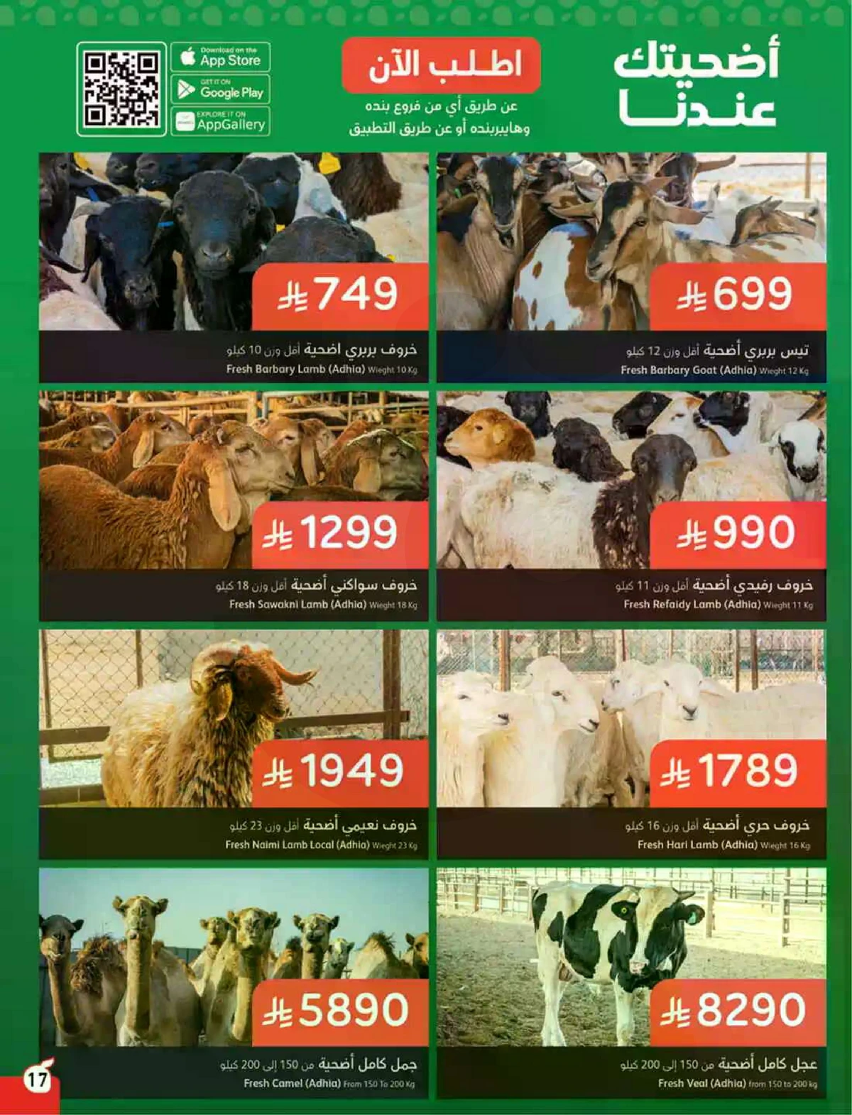 عروض حج مبرور - صفحة 18
