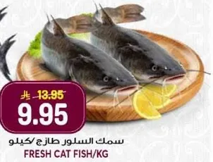Fresh cat fish per kg.