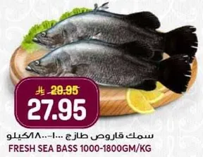 سمك قاروص طازج 1000-1800 جرام/كيلو