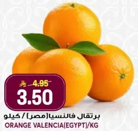 برتقال فانسيس (مصر) / كيلو