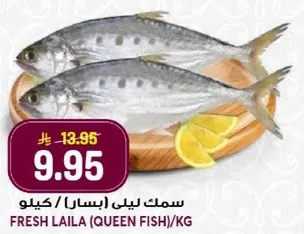 Fresh Laila (Queen Fish) per kg.
