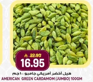 American Green Cardamom (Jumbo) 100gm