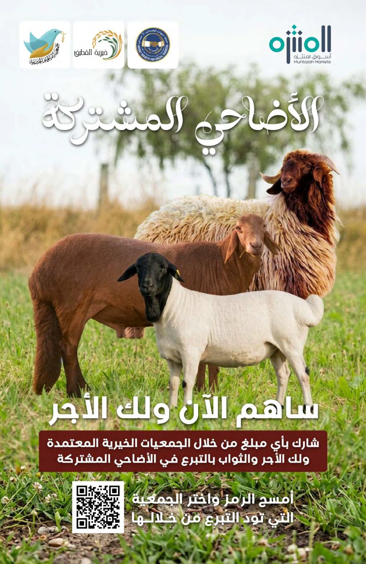 عروض عيد مبارك - صفحة 12