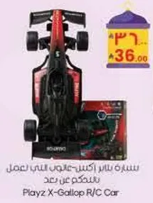 Playz X-Gallop R/C Car