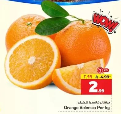 برتقال فانسيا للكيلو