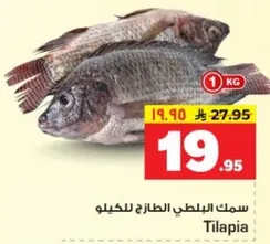 سمك البلطي الطازج للكيلو