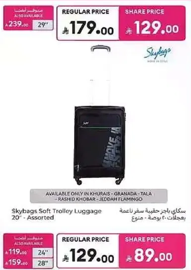 سكي باج حقيبه سفر ناعمه 20" - متنوع