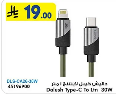 Dalish Type-C to Ltn 30M cable.