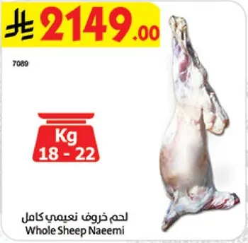 Whole Sheep Naeemi