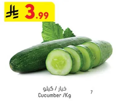 Cucumber / Kg
