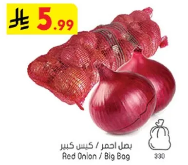 Red Onion / Big Bag