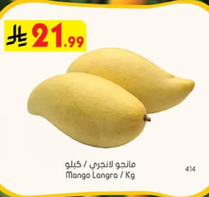 مانجو لانجرا / كيلو