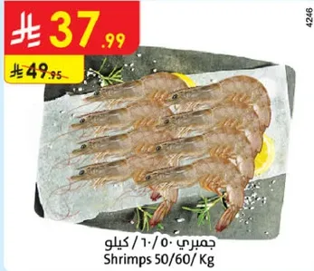 Shrimps 50/60 Kg