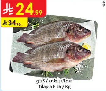 سمك بلطي / كيلو