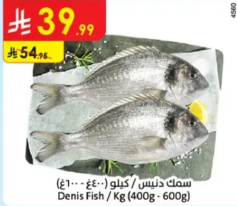 سمك دنيس / كيلو (400غ - 600غ)
