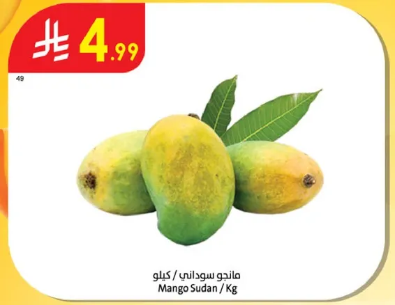 Sudanese Mango / Kg