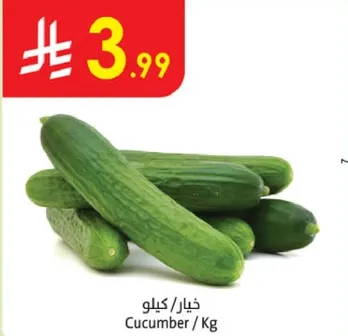 Cucumber / Kg