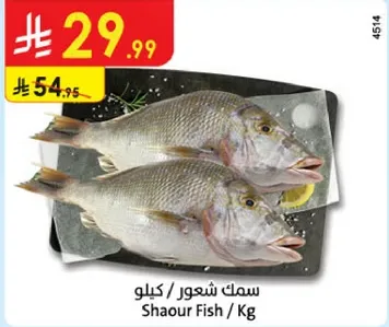 Shaour Fish / Kg