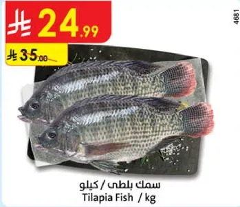 Tilapia Fish / kg