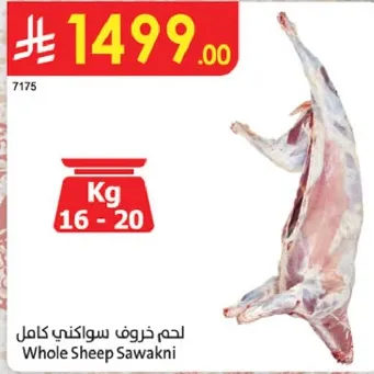 Whole Sheep Sawakni