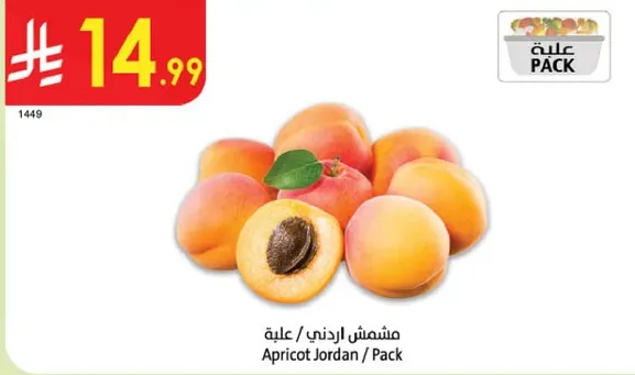Apricot Jordan / Pack