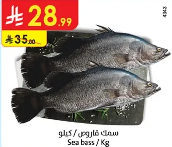 سمك قاروص / كيلو