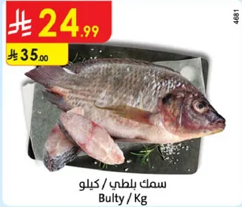 سمك بلطي / كيلو