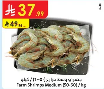 جمبري وسط مزراع (50-60) / كيلو