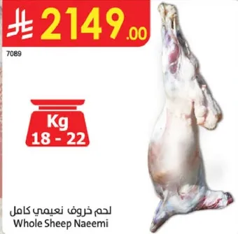 Whole Sheep Naeemi