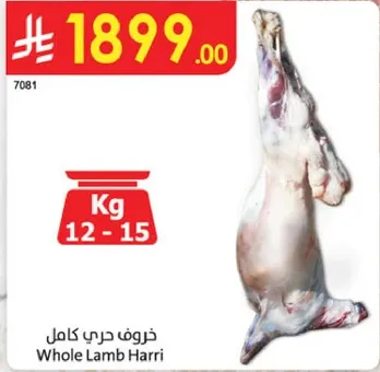 Whole Lamb Harri