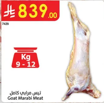 Goat Marabi Meat