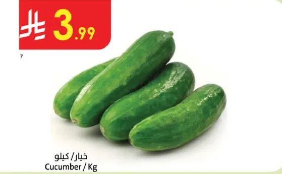 Cucumber