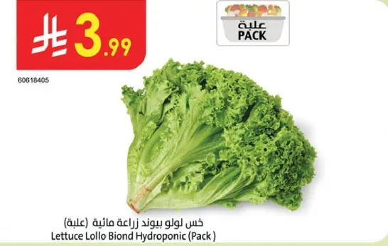 خس لولو بوند زراعه ماييه (عبوه)