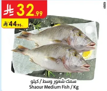 Shaour Medium Fish / Kg