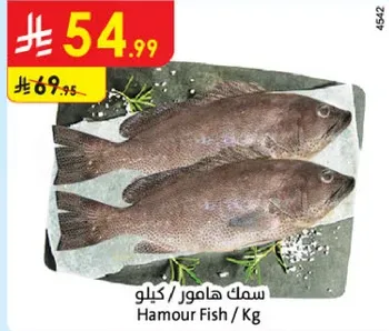 Hamour Fish / Kg
