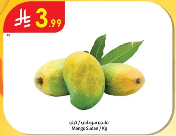 مانجو سوداني / كيلوجرام