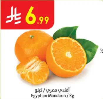 افندي مصري / كيلو