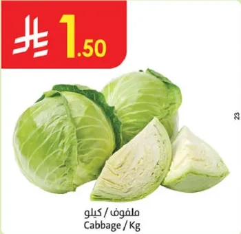 ملفوف