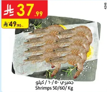 جمبري 50/60 كيلو