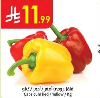 فلفل رومي اصفر / احمر / كيلو