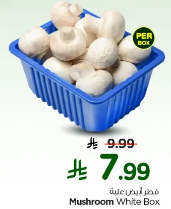 Mushroom White Box
