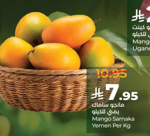 Mango Samaka Yemen Per Kg