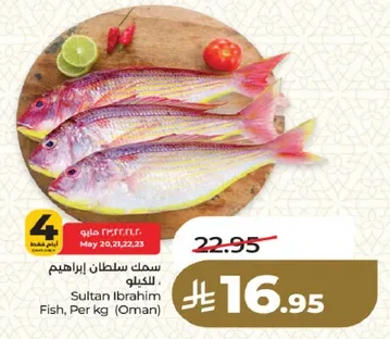 سمك سلطان ابراهيم للكيلو