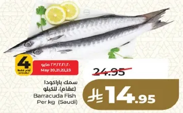 سمك باراكودا (عقاف). للكيلو